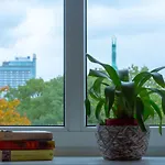 自由旅舍 旅馆 *
