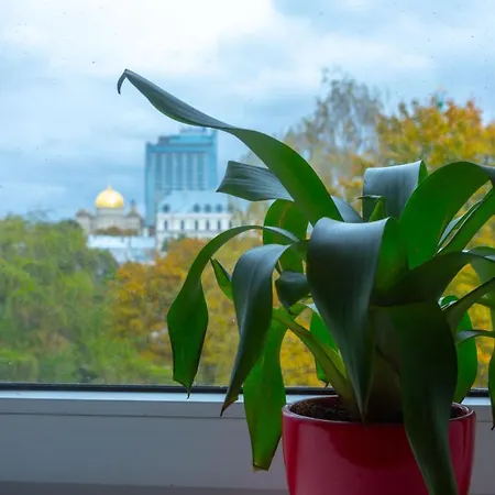 旅馆 自由旅舍 *