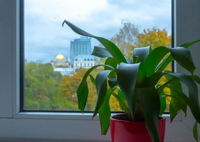 ホステル リバティ エアリー *